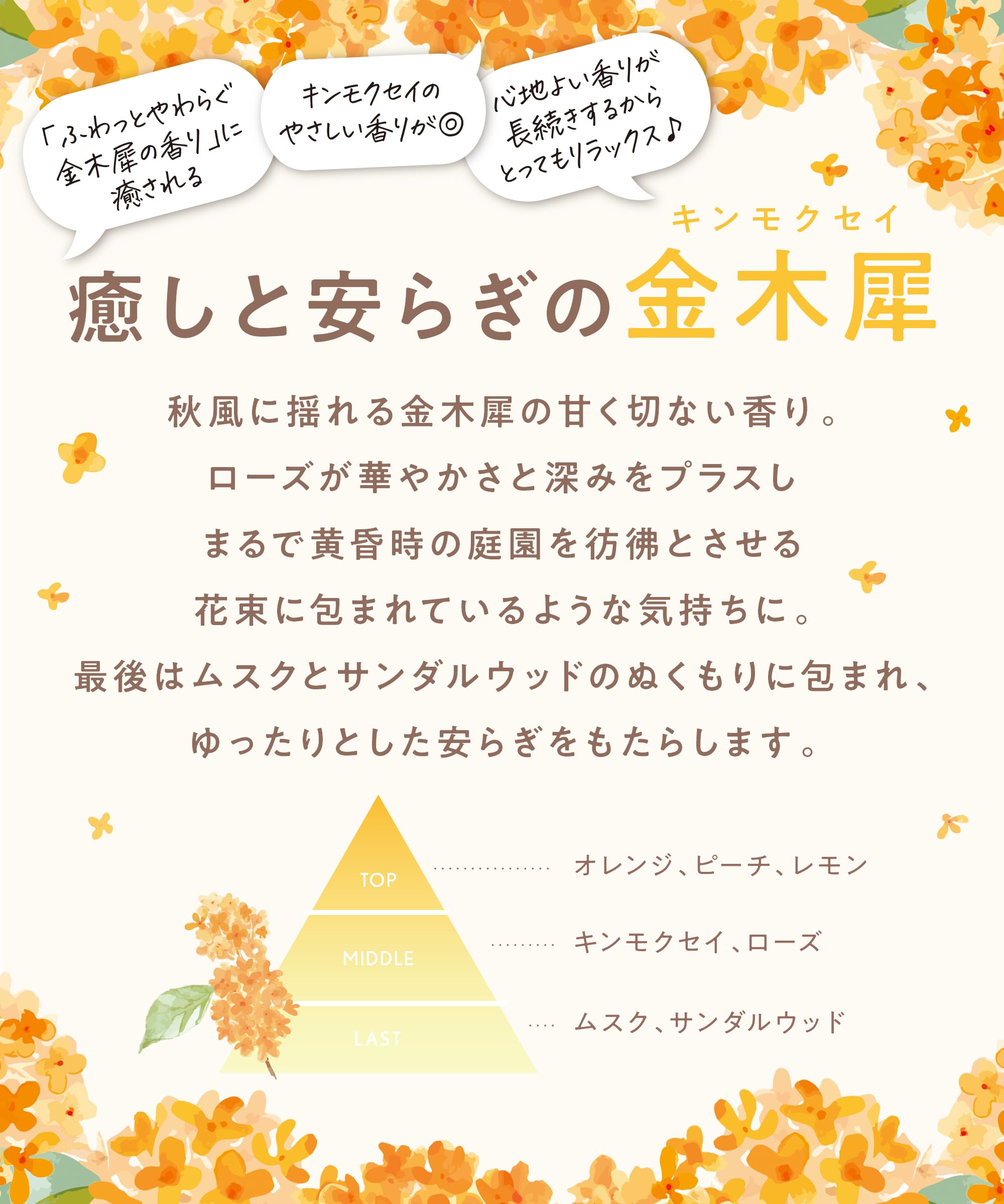Amazon | CLAYGE クレージュ シャンプー トリートメント セット SR
